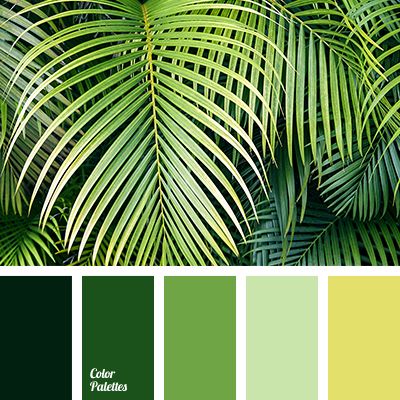 green and yellow color scheme with palm leaves