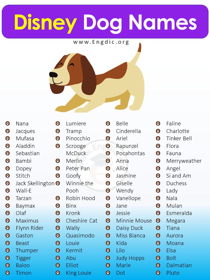 the disney dog names list for dogs with pictures on them and below it is an image of