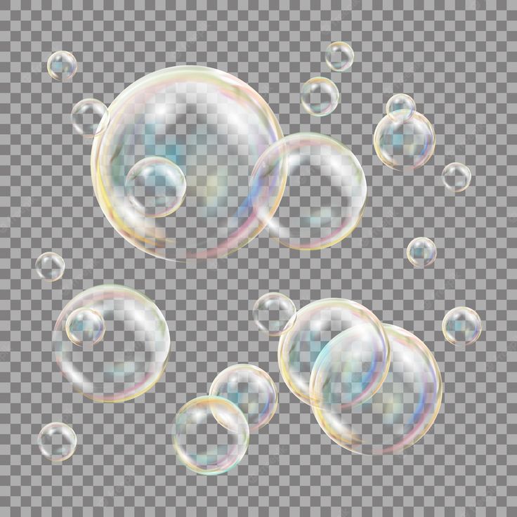 soap bubbles on a transparent background