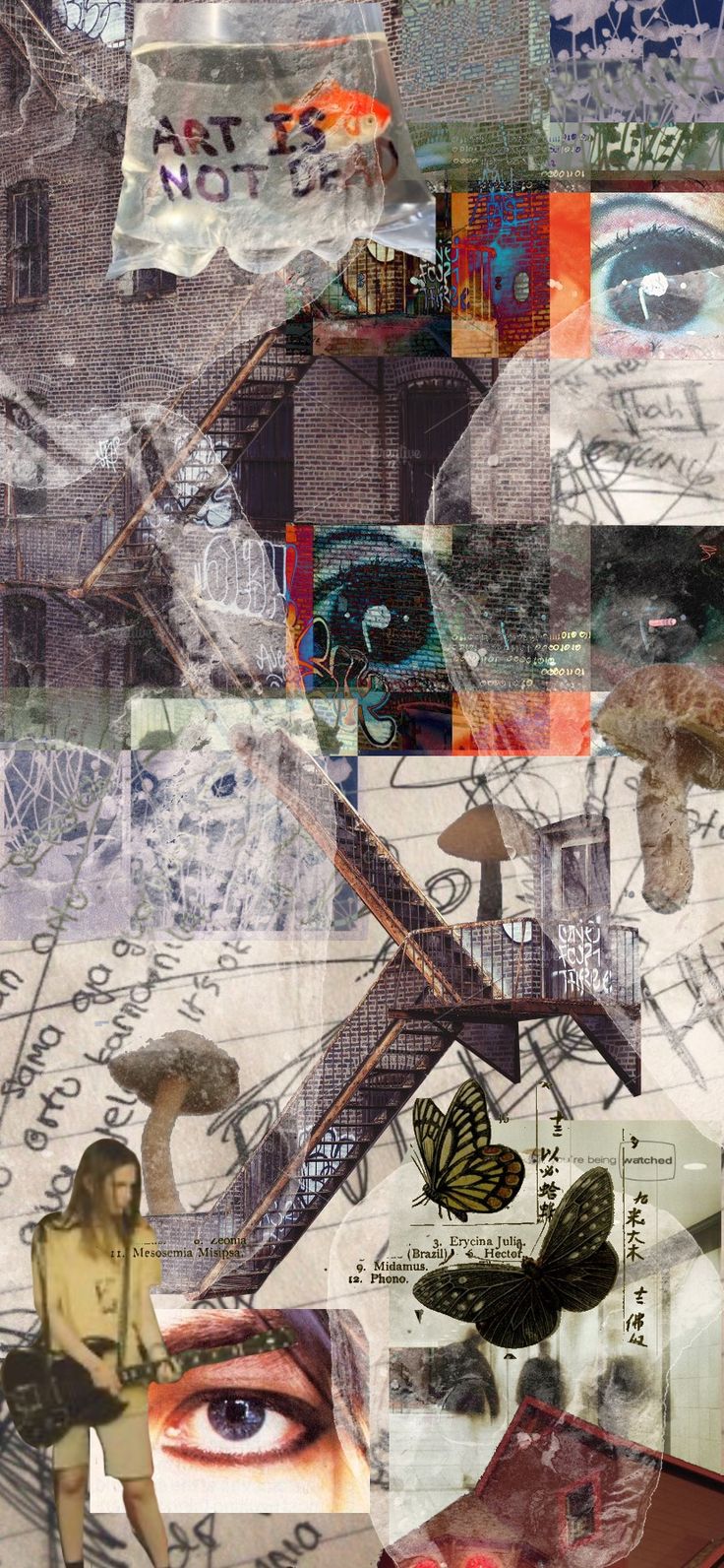 the collage is made up of many different images and words, including an image of a woman's face