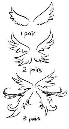 three different types of wings with the words i pair, paris and paris written on them