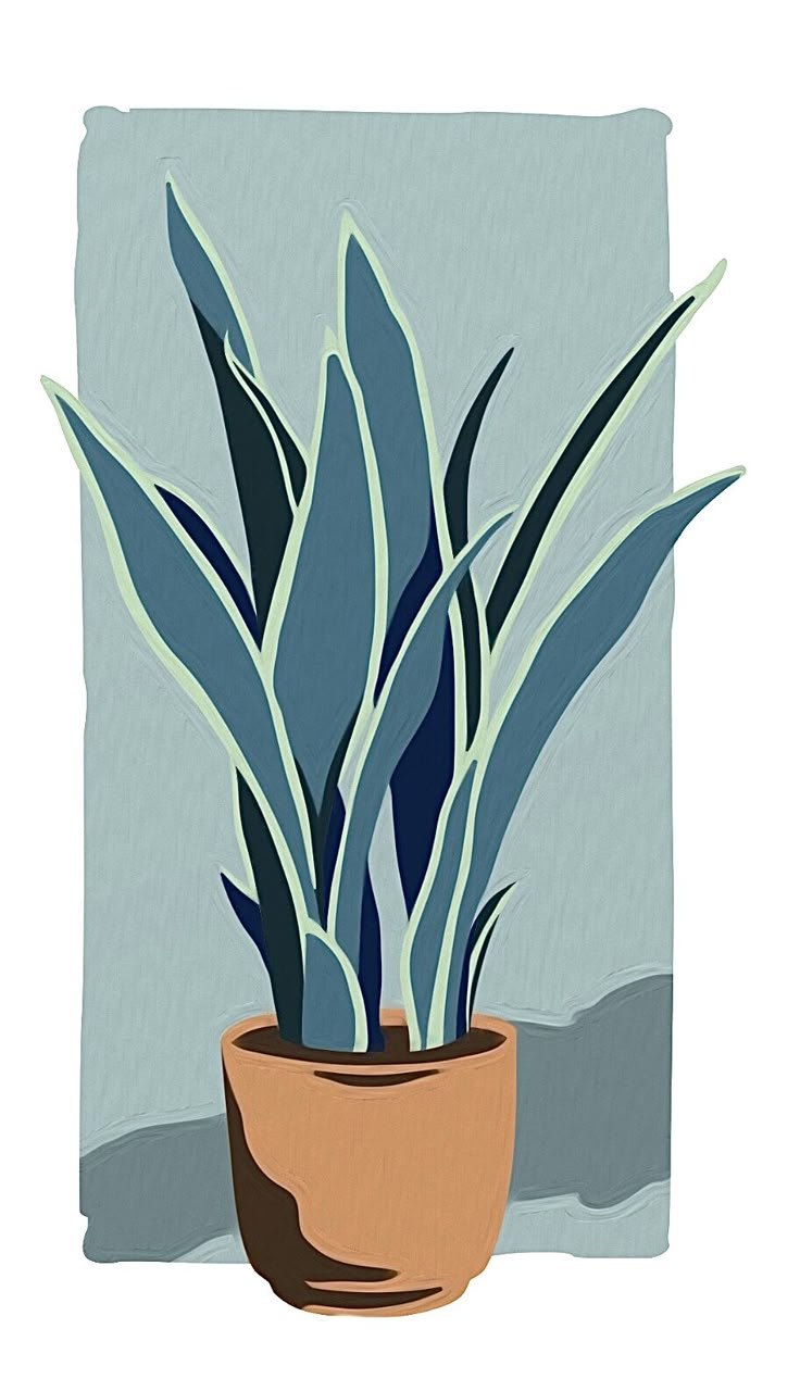 a potted plant sitting on top of a table next to a blue and white wall