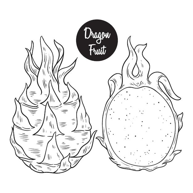 two dragon fruit with flames on the top and one in the middle, drawn by hand