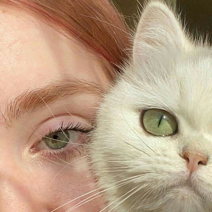 a close up of a person with a cat in front of their face and one eye open