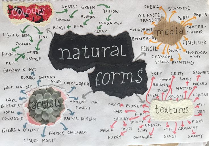 a piece of paper with different types of natural forms on it and labeled in words