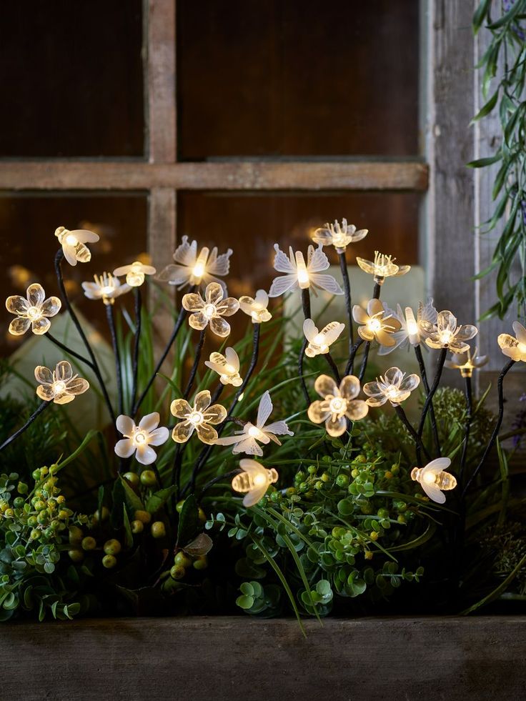 white flowers are lit up in front of a window with green plants and greenery