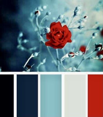 a red rose is in the middle of a color palette