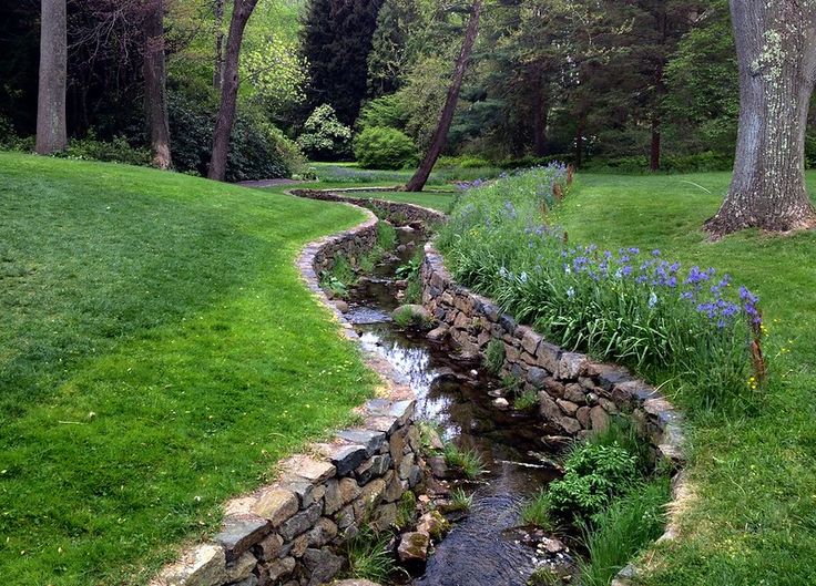 a small stream running through a lush green park