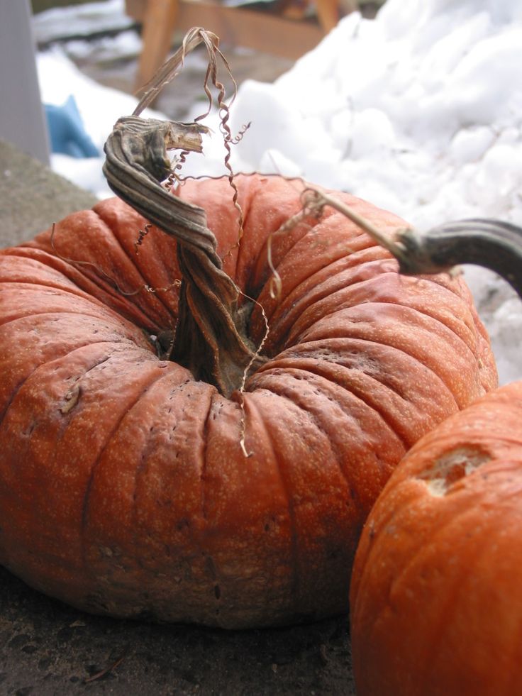 two orange pumpkins sitting on the ground next to each other in front of some snow