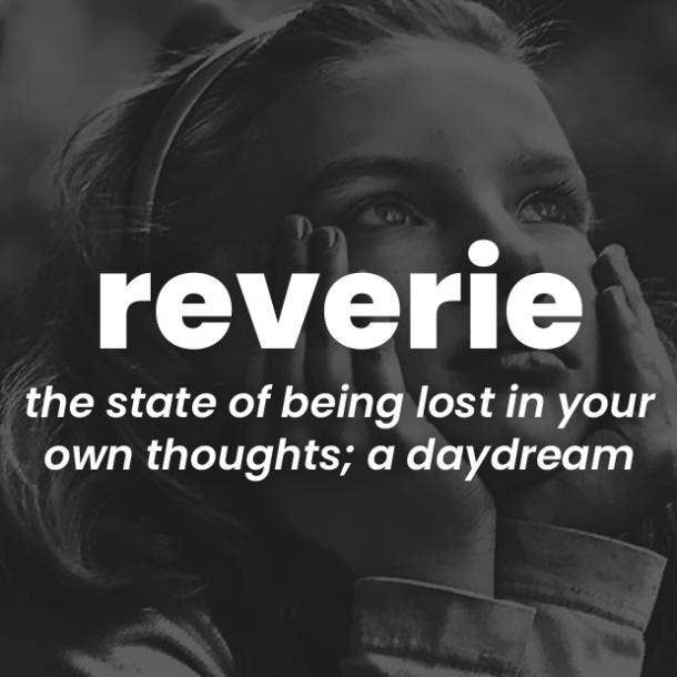 a girl with her hands on her face and the words reverie above her head