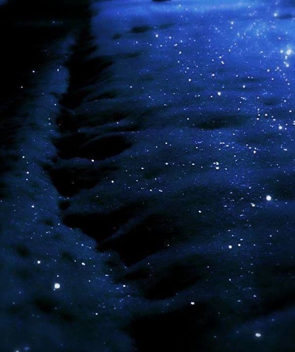 the water is very dark and blue with stars on it