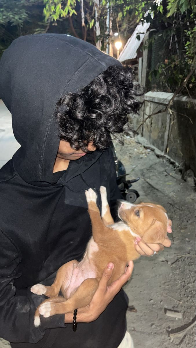 a person in a black hoodie holding two puppies