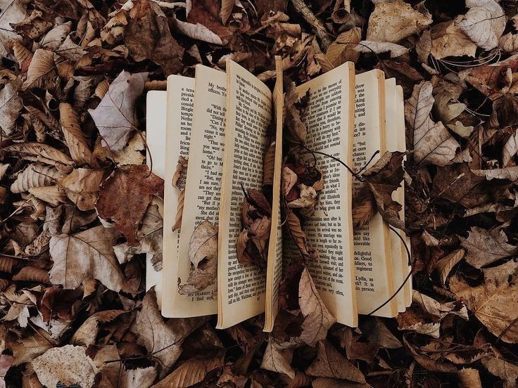 an open book laying on top of leaves in the middle of the ground with its pages spread out