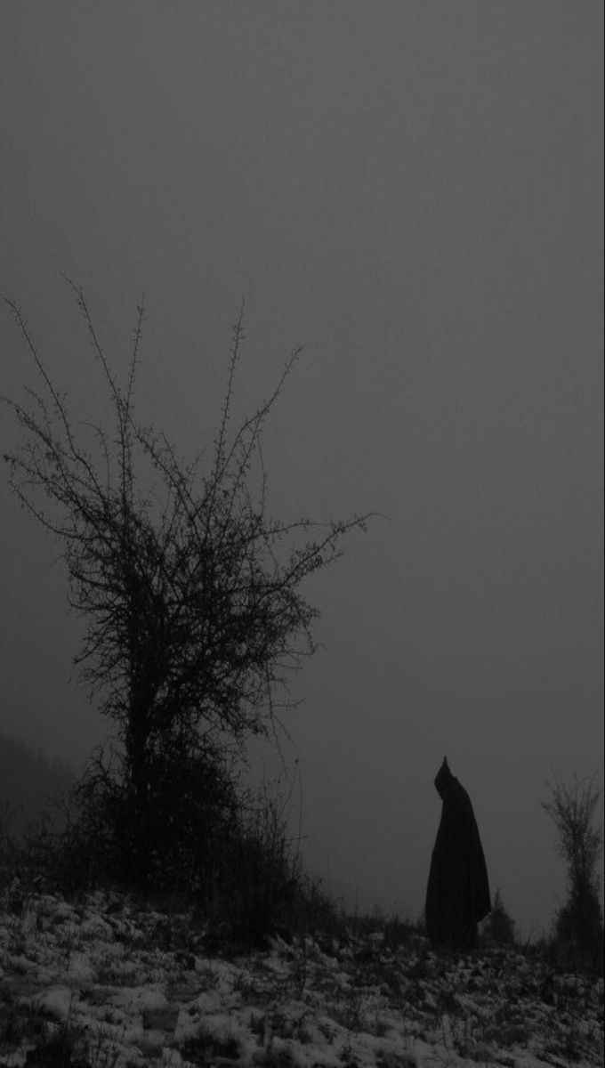 a black and white photo of a person in the fog