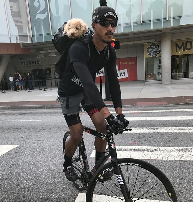 a man riding a bike down the street with a dog in his back pack on