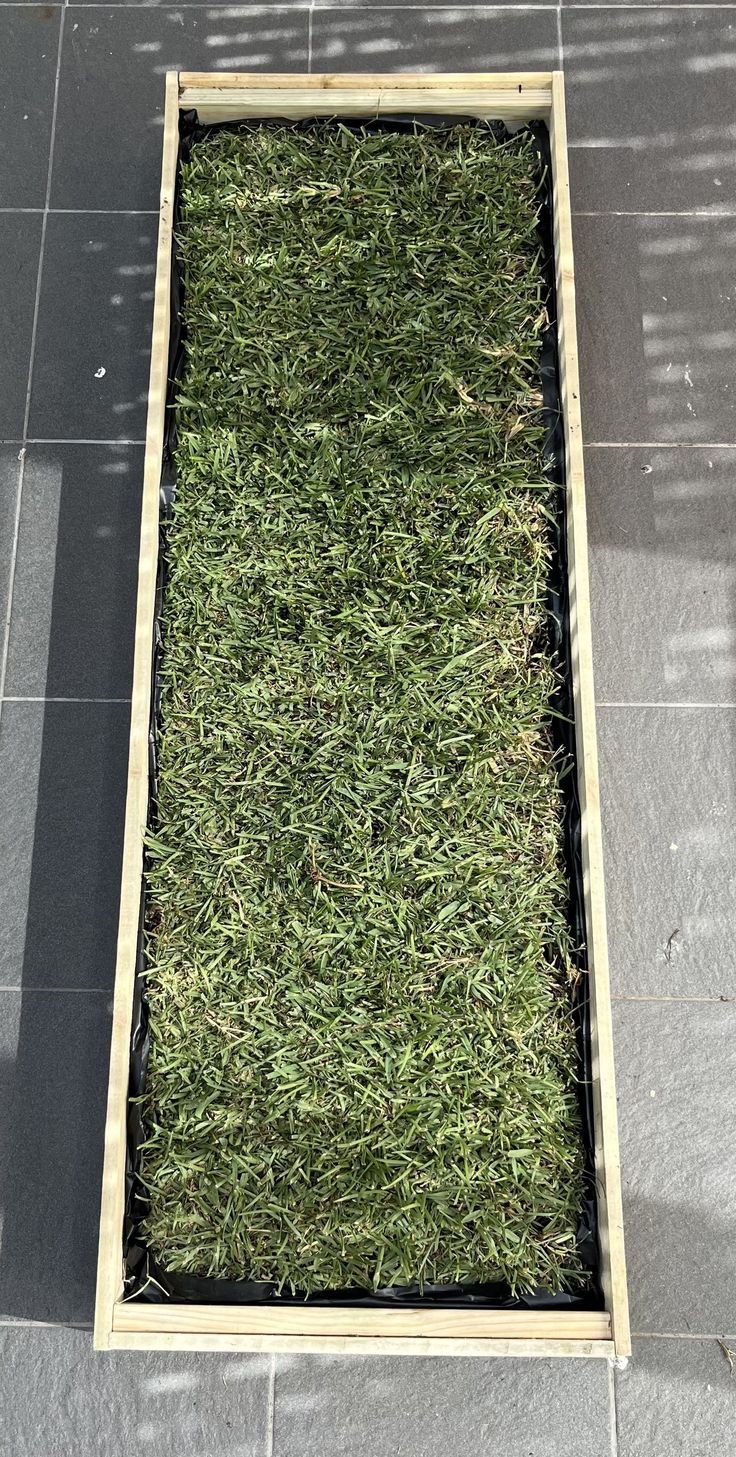 an open wooden box with grass inside on the ground in front of a sidewalk area