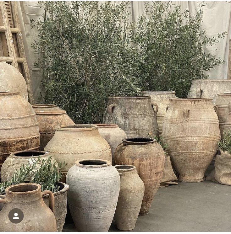 many large vases are lined up on the ground