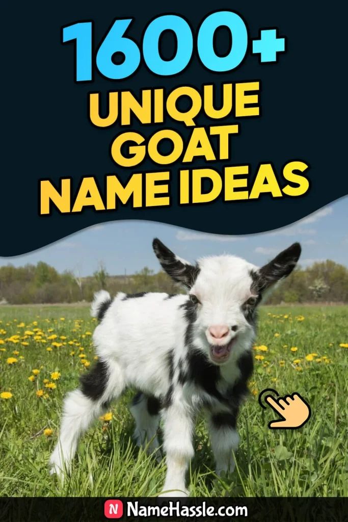 Cool And Funny Goat Names Ideas (Generator) Goat Names List Of, Goat Names, Cute Show Steer Names, Show Sheep Names, Pun Names, Nigerian Goats, G Names, Twin Names, Pet Goat