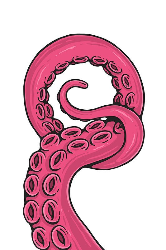 the letter s is made up of an octopus's tentacles