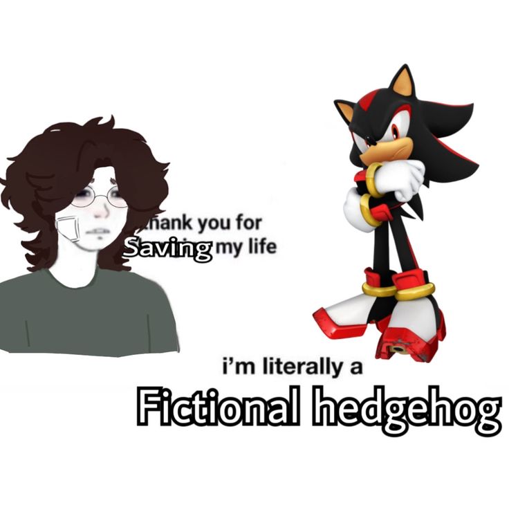 an image of a cartoon character with the caption i'm literally a fictional hedgehog