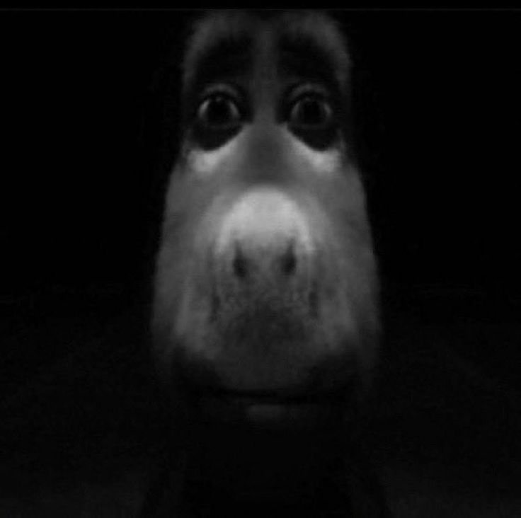 a black and white photo of a dog's face with its nose slightly open