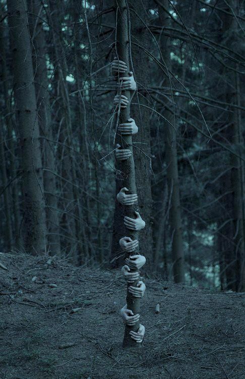 a stack of rocks sitting in the middle of a forest with a quote above it