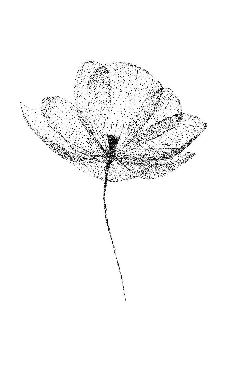 a black and white photo of a flower with dots on it's petals in the shape of a dragonfly