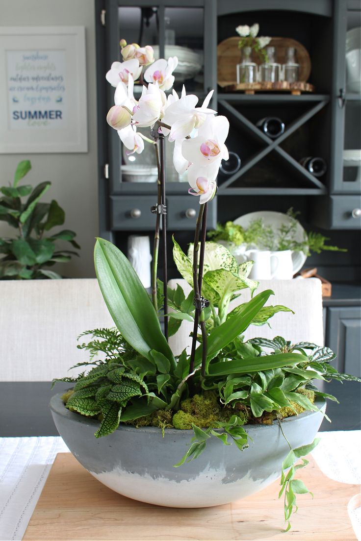 a bowl filled with white flowers on top of a wooden table