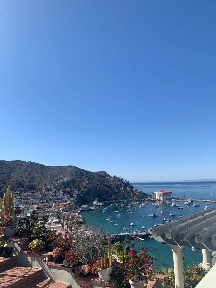 boats are docked in the water near some hills and buildings with flowers on them, under a clear blue sky