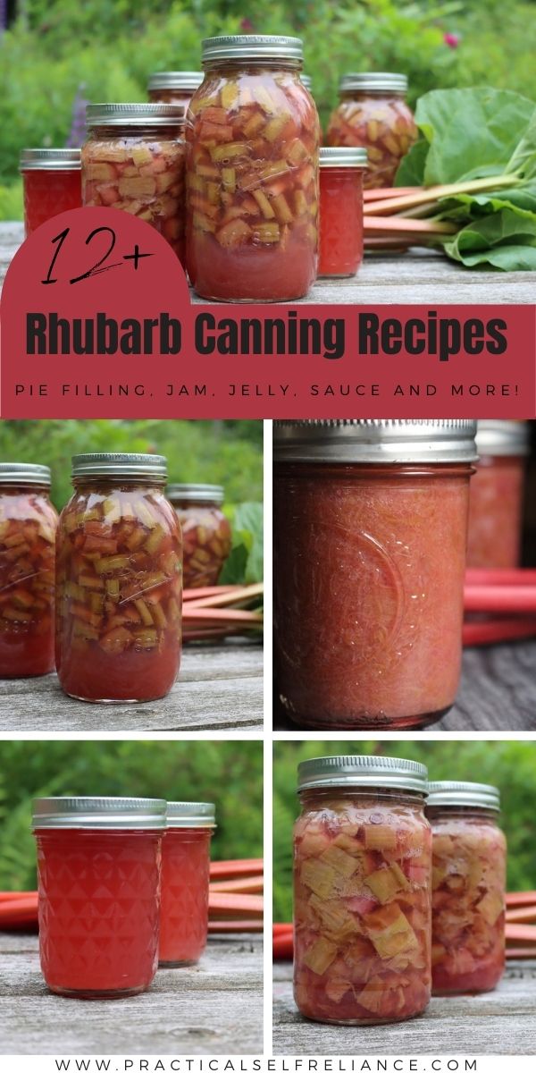 four images showing how to make rhubarb canning recipe in jars with text overlay that says rhubarb canning recipes