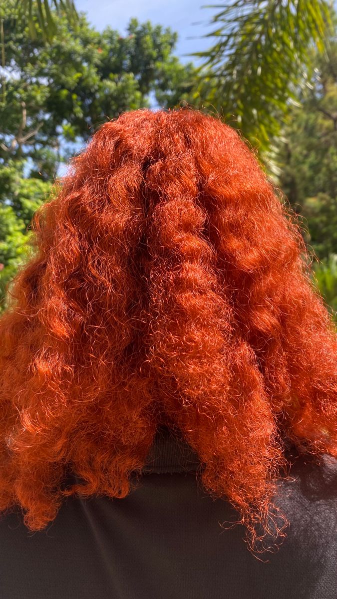 Ginger And Pink Hair, Curly Ginger Hair, Ginger Hair Dyed, Blk Women, Dyed Curly Hair, Pink Ginger, Ombre Highlights, Ginger Hair Color, Hype Clothing