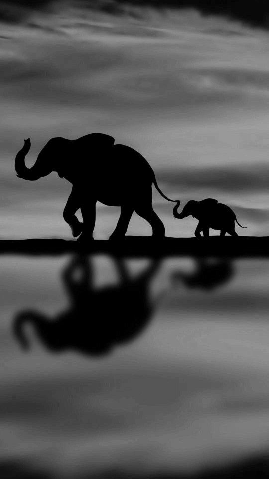 an elephant and its baby walking in the water at night with clouds reflected on the surface