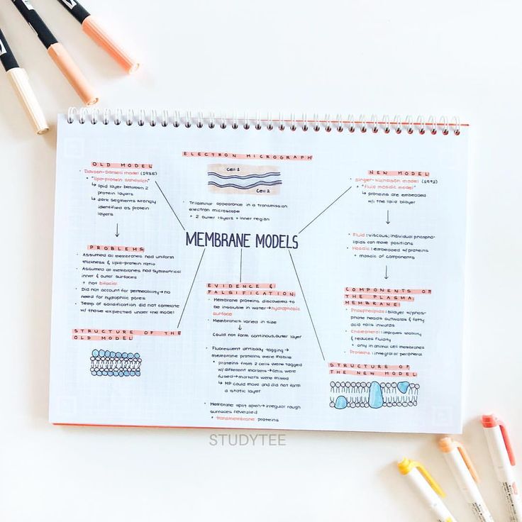 a notebook with the words membrane models written on it next to markers and pencils