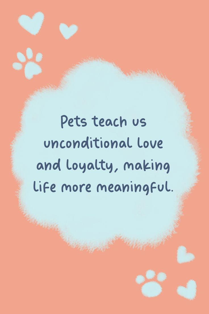 a quote on pets teach us unconditional love and loquativy, making life more meaningful