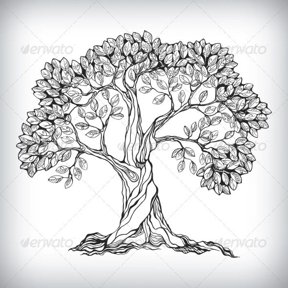 a tree with leaves and roots on a white background