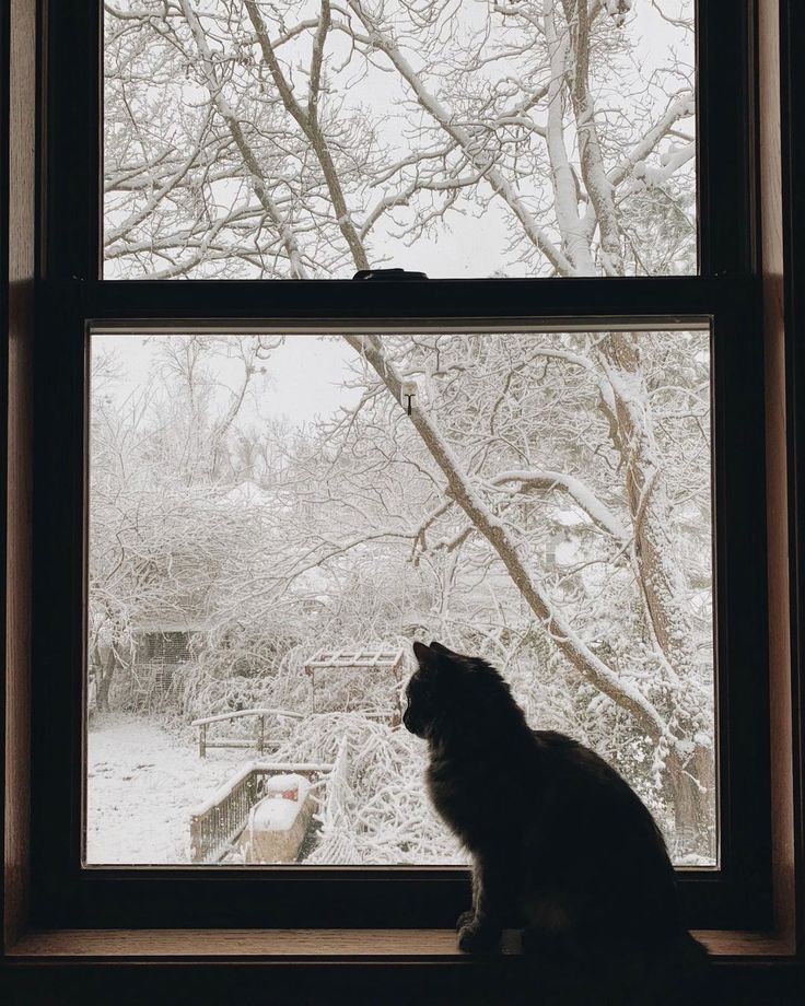 a black cat sitting on top of a window sill in front of snow covered trees