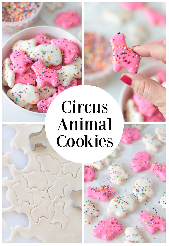 the process for making circus animal cookies with sprinkles