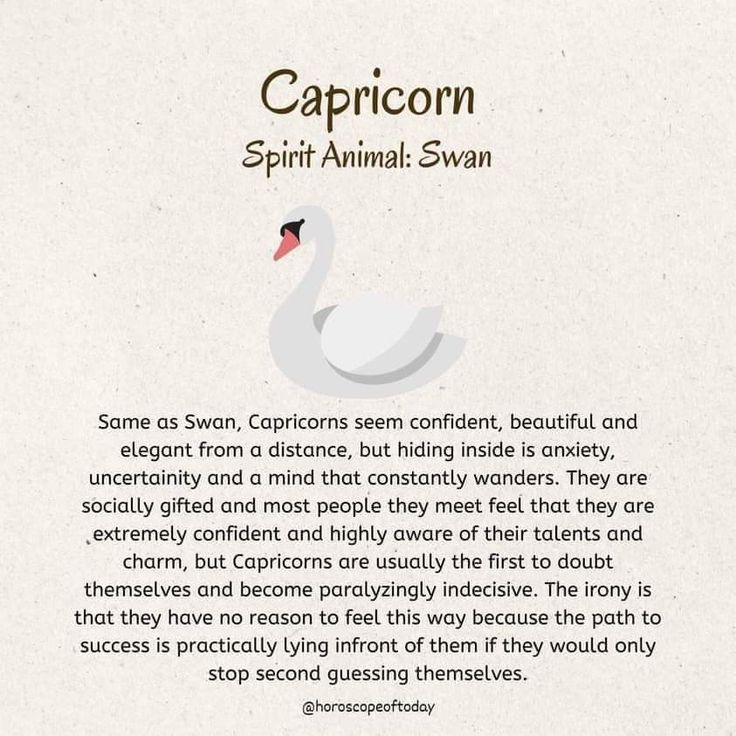 a poem written in the form of a swan with captioning below it that reads, capricorn spirit animal swan