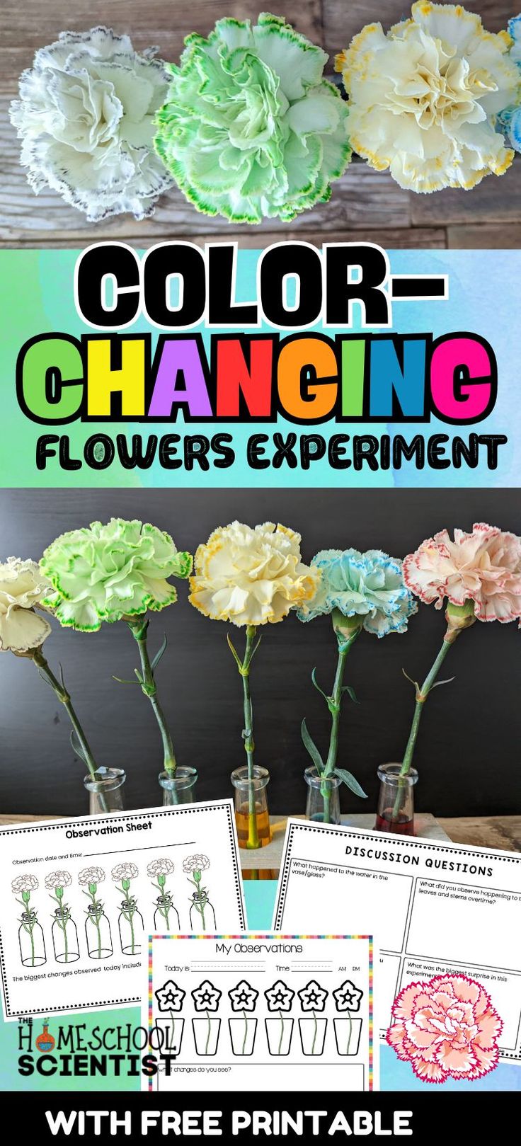 colorful flowers in vases with free printable color changing activities for kids and adults