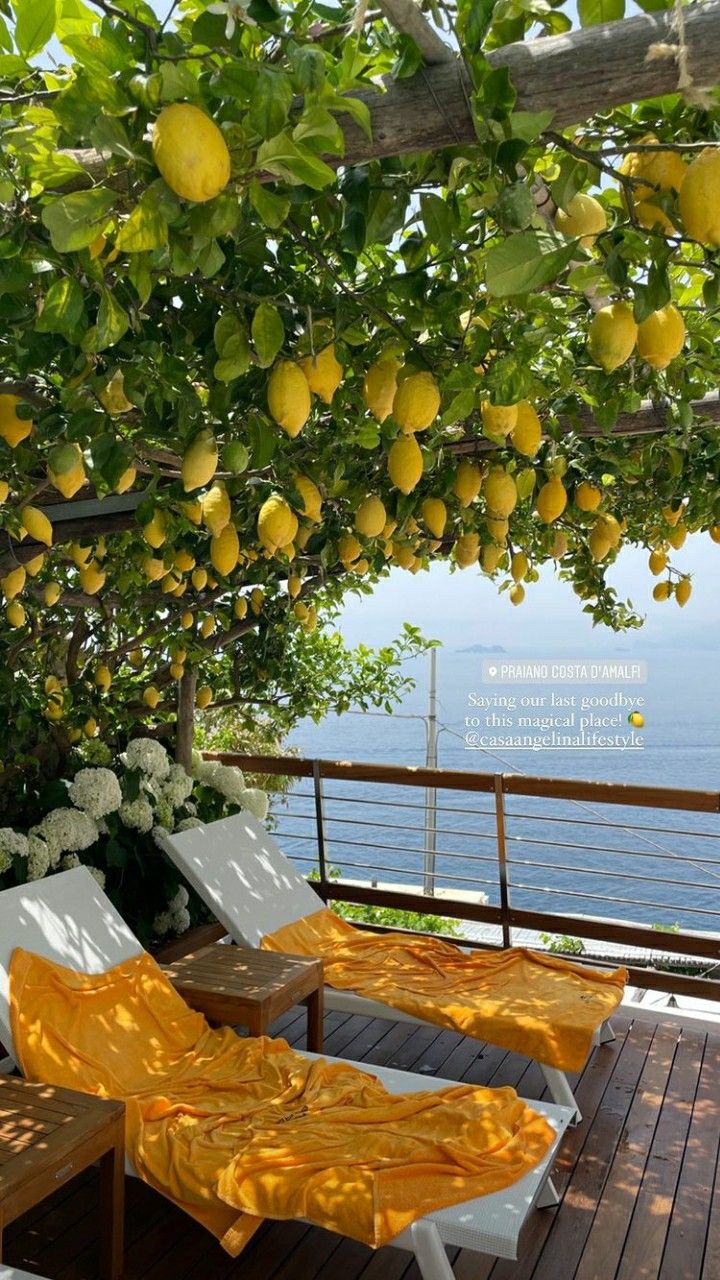 lemons are growing on the tree over looking the water and deck chairs with yellow covers