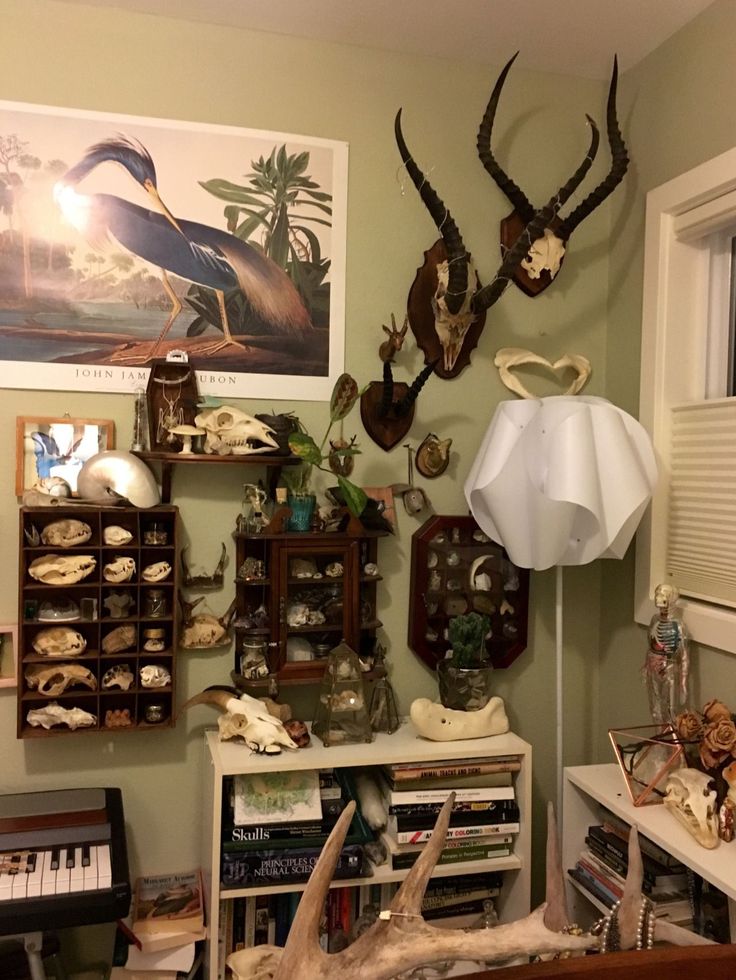 a living room filled with lots of antlers on the wall next to a piano