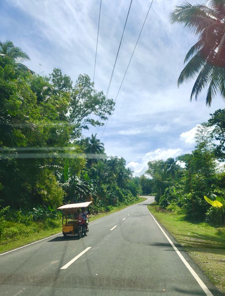 a person riding a motorcycle down the middle of a road next to a lush green forest