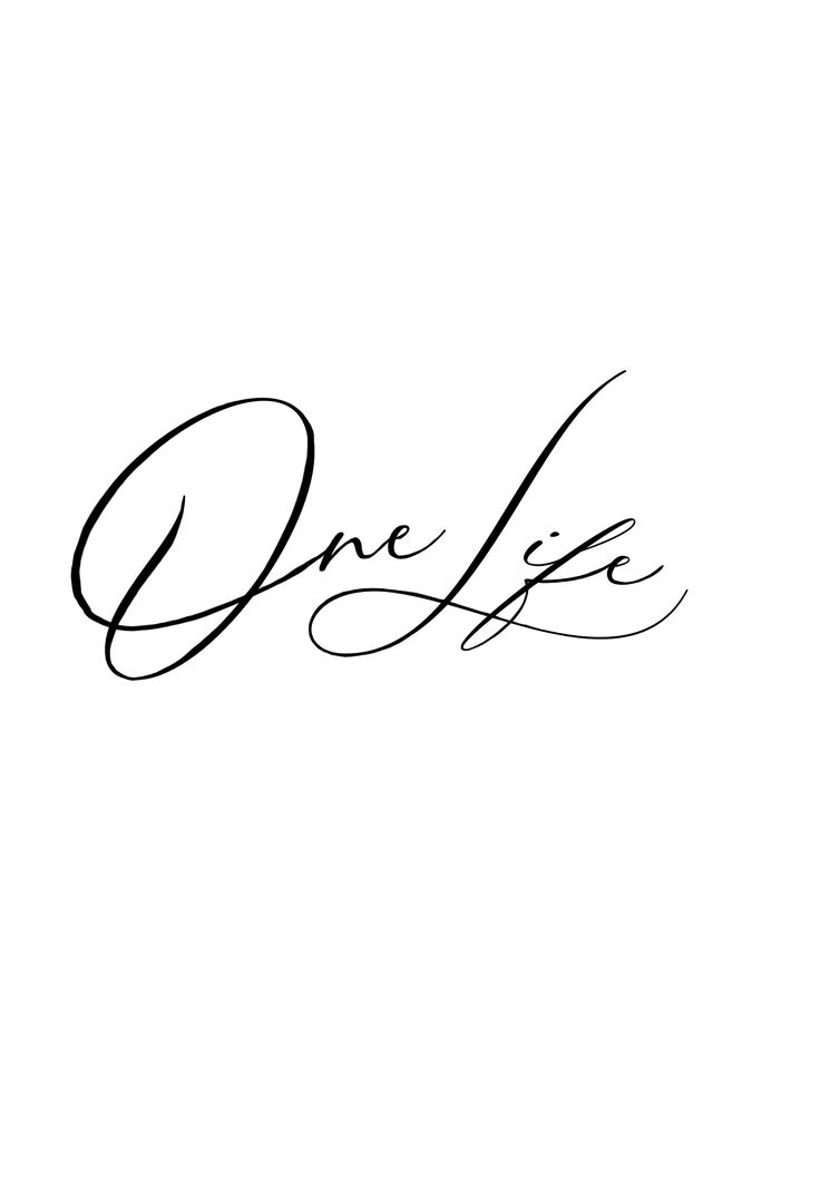 the word one life written in cursive writing