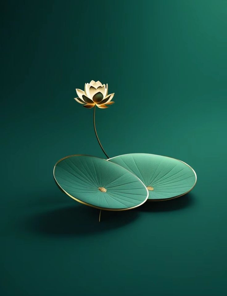 two lotus flowers are placed on top of each other