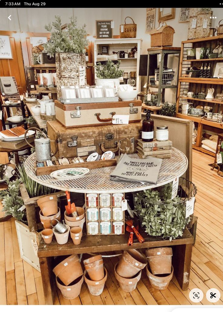 a room filled with lots of potted plants and pots on top of wooden shelves