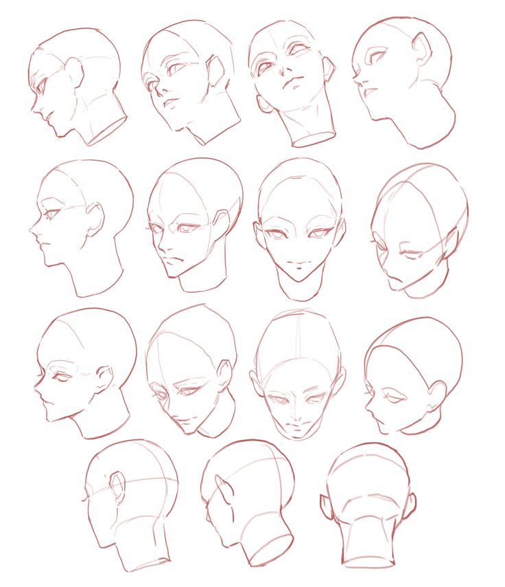 the head and shoulders of an adult male with different facial expressions, from front to back