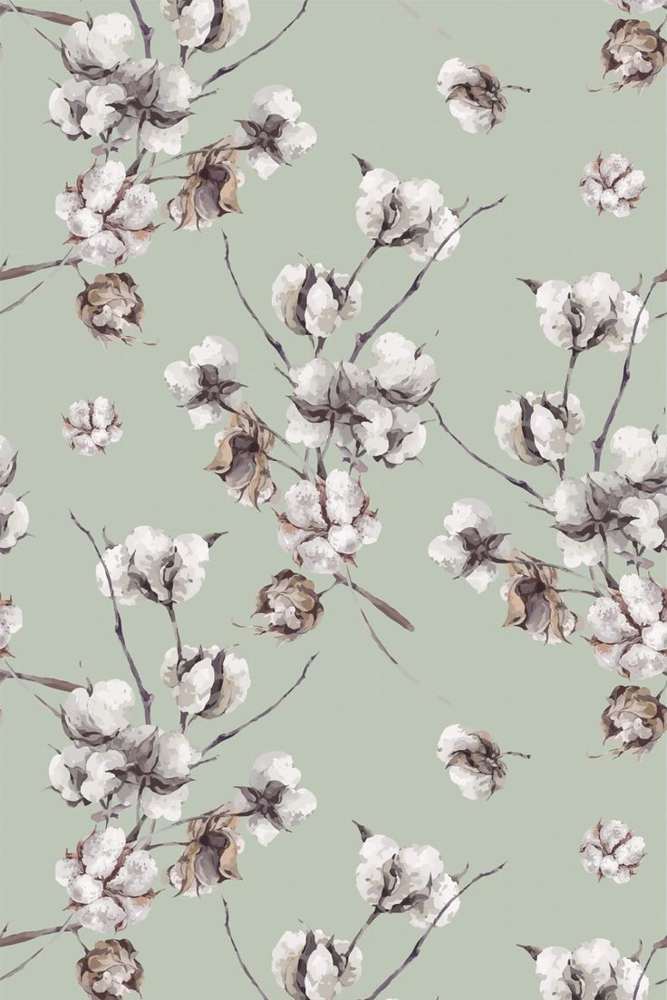 a floral wallpaper with white flowers on a light green background in shades of grey and brown