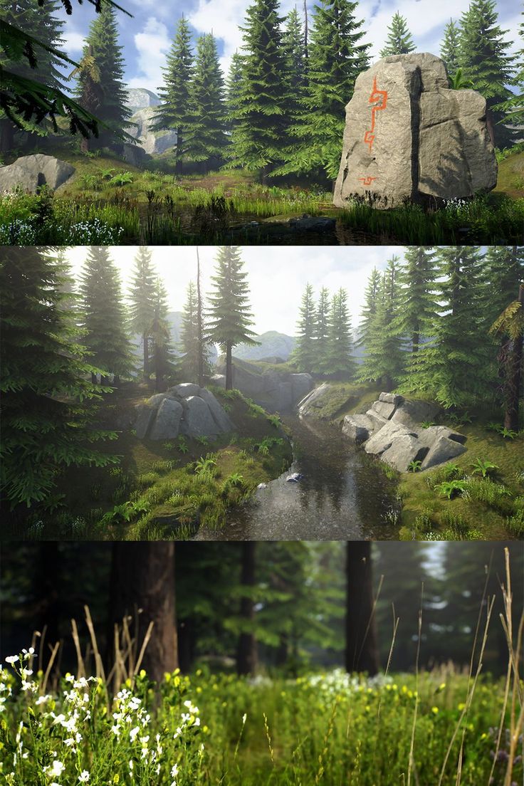 three different views of trees and rocks in the woods, with one showing an arrow