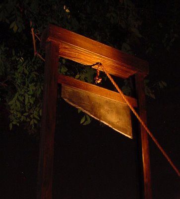 a wooden sign with rope hanging from it's side at night, in front of some trees