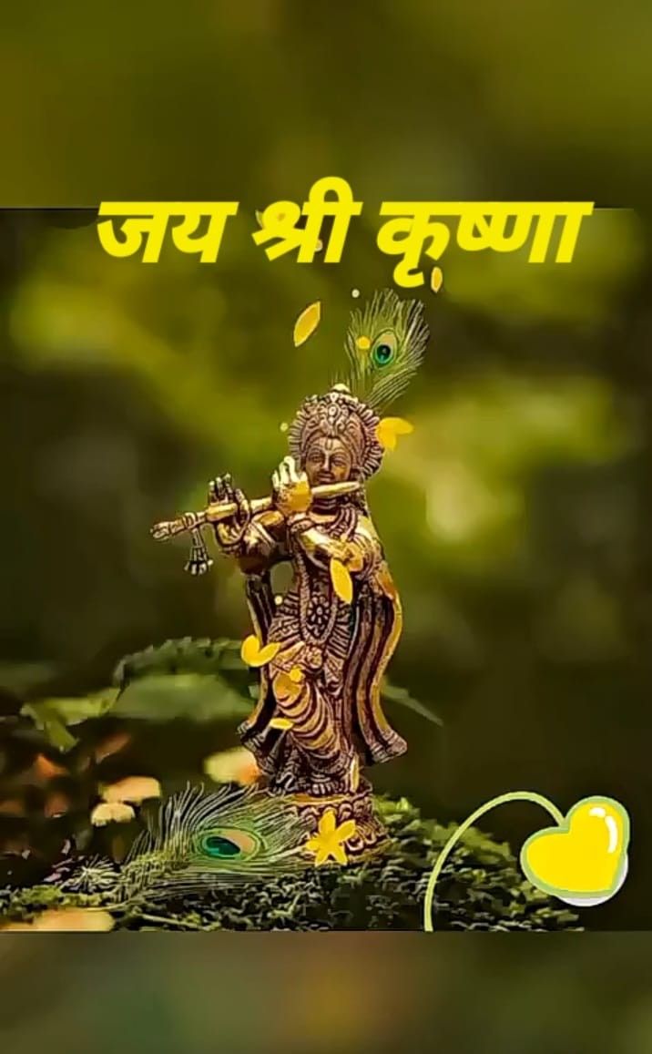 Jay Shree Krishna Image, Krishna Good Morning, Jay Shree Krishna, Happy Diwali Photos, Sree Krishna, Jai Shri Krishna, Dussehra Images, Shree Nathji, Good Morning Clips